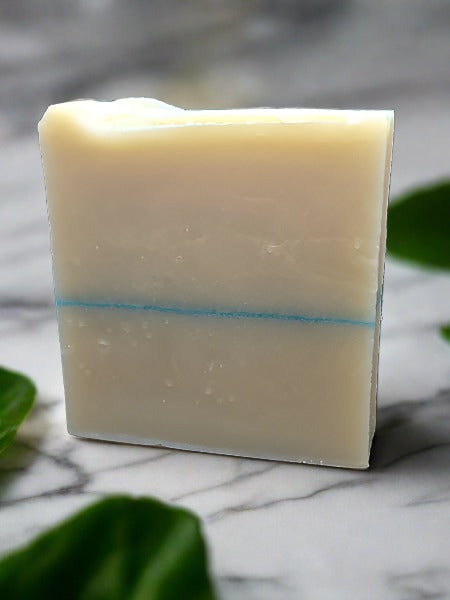 shampoo bar for men in bay rum scent right angle view