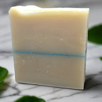 shampoo bar for men in bay rum scent right angle view
