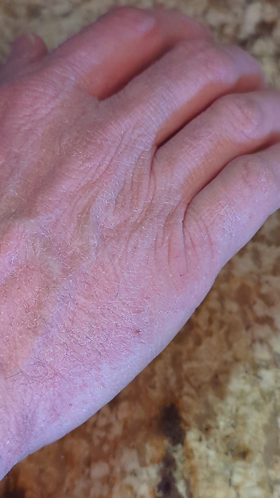 Journeyman Shea Butter Hand & Body Lotion